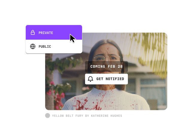 Film Premiere Management Dashboard